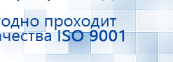 Жилет ДЭНАС-ОЛМ-02 купить в Шадринске, Одеяло и одежда ОЛМ купить в Шадринске, Дэнас официальный сайт denasdoctor.ru