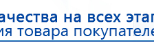 Прибор Дэнас ПКМ купить в Шадринске, Аппараты Дэнас купить в Шадринске, Дэнас официальный сайт denasdoctor.ru