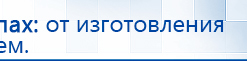 СКЭНАР-1-НТ (исполнение 02.2) Скэнар Оптима купить в Шадринске, Аппараты Скэнар купить в Шадринске, Дэнас официальный сайт denasdoctor.ru